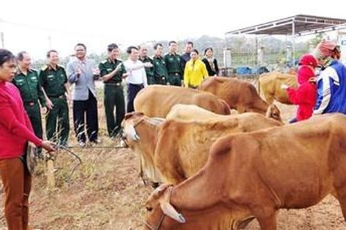Giúp đồng bào vui đón xuân đầm ấm