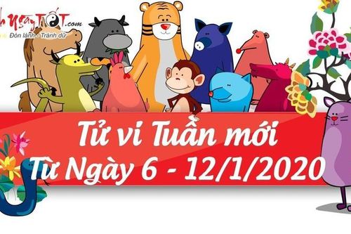 Tử vi tuần mới từ 6/1 đến 12/1 năm 2020 của 12 con giáp
