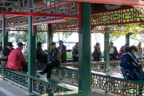 Trung Quốc: Mốt 'tình yêu tuổi xế chiều'