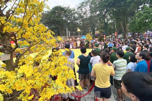 Người Sài Gòn ùn ùn đi chơi Tết sớm