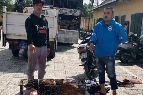 Chủ quán thịt chó đi xe biển giả để câu trộm chó mèo