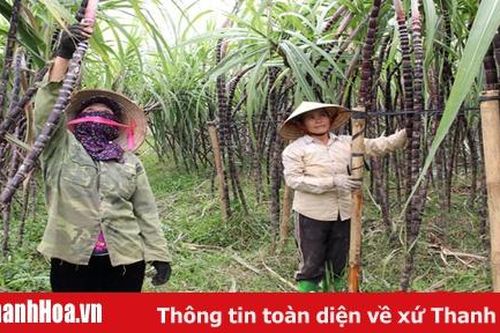 Điền Trung nỗ lực về đích nông thôn mới