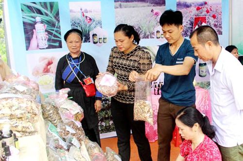 Triển khai hiệu quả nhiều hoạt động xúc tiến thương mại
