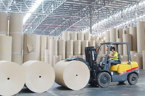 Ngành Giấy, cơ hội nào cho phát triển ?