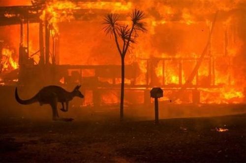 Liên hợp quốc: Các Chính phủ cần 'dũng cảm' đối mặt biến đổi khí hậu