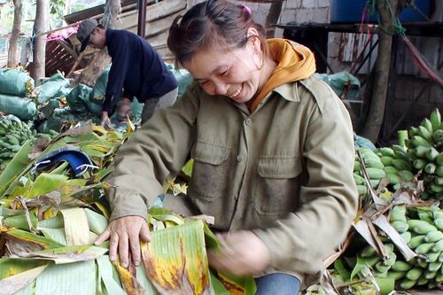 Nhộn nhịp ở vựa chuối Tết lớn nhất miền Trung