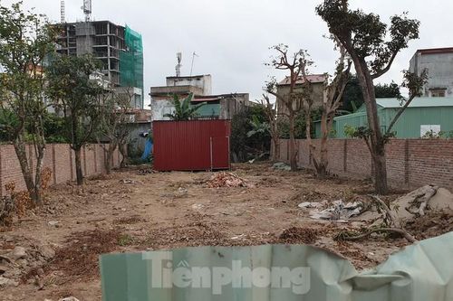 Hải Phòng tái diễn tình trạng giang hồ chiếm đất