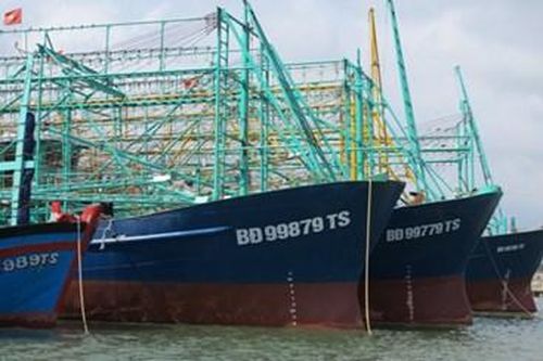 Tàu cá nằm bờ do không mua được bảo hiểm: Ngư dân có thể kiện Công ty bảo hiểm Pjico
