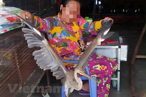 Cục kiểm lâm chỉ đạo kiểm tra, xử lý nạn buôn bán động vật 'sách đỏ'