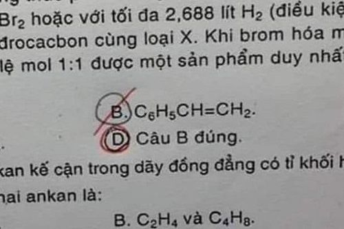 Đề kiểm tra với đáp án độc lạ có 1-0-2 khiến học sinh 'khóc thét': Chọn câu nào để vừa lòng cô bây giờ?