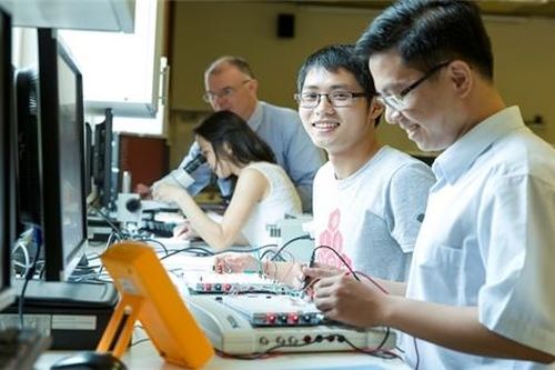 Ba chuyên môn được săn lùng nhiều nhất trên thị trường việc làm 2020