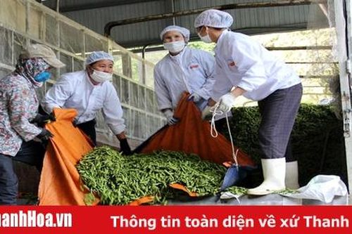 Giá trị xuất khẩu nông, lâm, thủy sản năm 2019 vượt 19,34% kế hoạch