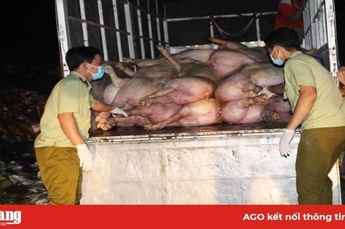 Nhiều vụ vận chuyển hàng hóa trái phép bị phát hiện