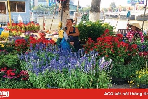 Đa dạng thị trường hoa Tết