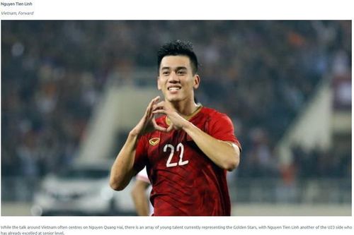 AFC đánh giá bảng D