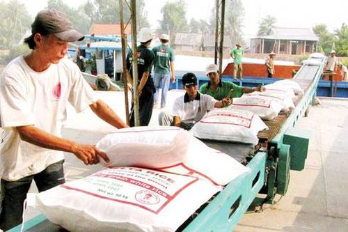 Hỗ trợ gạo dịp Tết cho 58.114 khẩu