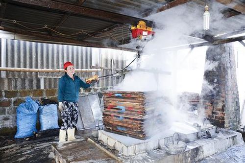 Nâng cao hiệu quả nghề chế biến cá hấp
