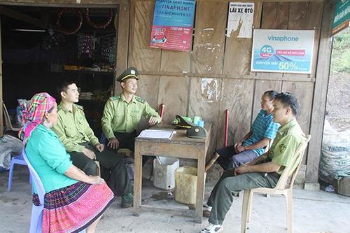 Chi trả dịch vụ môi trường rừng: Chính sách đi vào cuộc sống