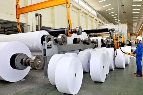 Ngành Giấy nên được ưu tiên phát triển trong nền kinh tế tuần hoàn