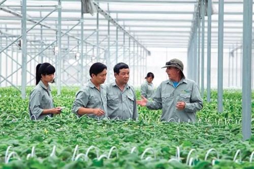 6 điểm sáng tích cực của ngành nông nghiệp trong năm 2019