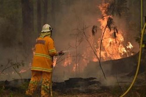 Thế giới chung tay giúp Australia đối phó thảm họa cháy rừng