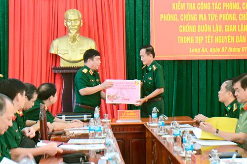 Tiếp tục mở các đợt cao điểm ngăn chặn hoạt động buôn lậu, gian lận thương mại, hàng giả dịp Tết Nguyên đán