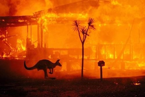 Toàn cảnh vụ cháy rừng lịch sử ở Australia