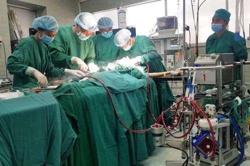 Đưa máu ra ngoài cơ thể cứu sống cô gái 19 tuổi