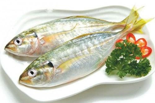 Sự thật thú vị về loài cá ba thú nổi tiếng ở Phú Quốc