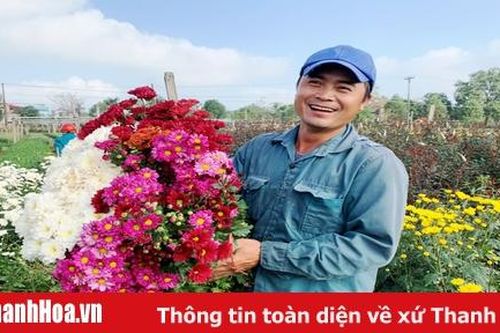 Hoa Đông Cương rực rỡ xuống phố
