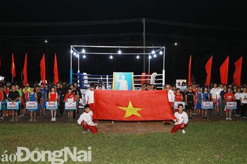 11 địa phương dự Giải trẻ và vô địch boxing - kickboxing tỉnh mở rộng