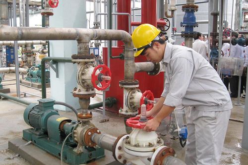 Khẳng định vai trò động lực của nền kinh tế