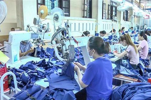 Vĩnh Linh: Hỗ trợ gần 8 tỉ đồng đào tạo nghề cho lao động vùng biển