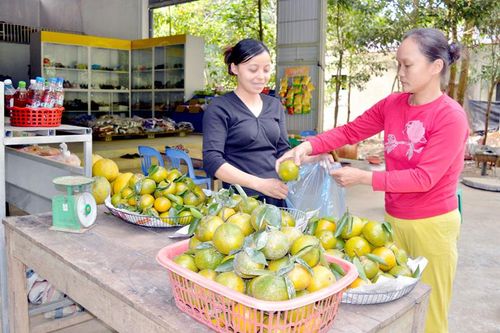 Chuyện viết đơn xin thoát nghèo