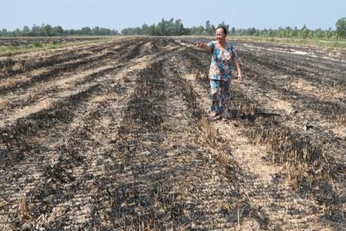 ĐBSCL: Đối mặt với thiên tai khắc nghiệt