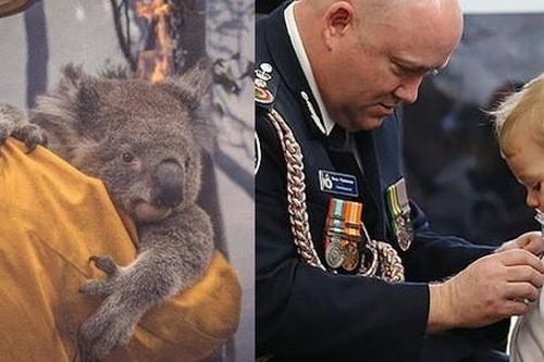 Hình ảnh xúc động không thể bỏ qua trong thảm họa cháy rừng ở Úc