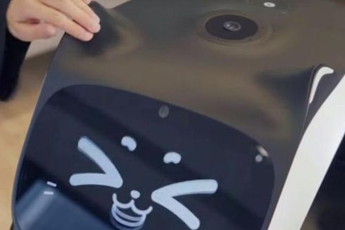Chú mèo robot biết cáu gắt nếu bị sờ tai quá nhiều