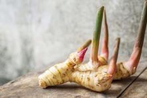 Lợi ích bất ngờ của loại gia vị phổ biến này
