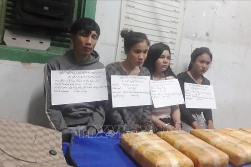 Triệt phá đường dây mua bán 60.000 viên ma túy qua biên giới
