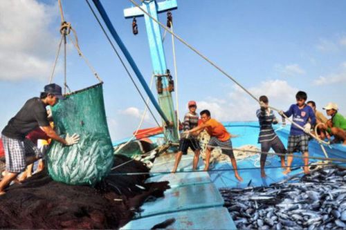 Thành lập Hội đồng thẩm định nhiệm vụ lập Quy hoạch bảo vệ và khai thác nguồn lợi thủy sản