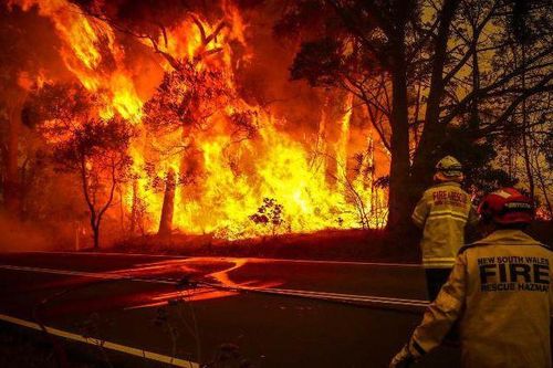Cháy rừng Australia: Bắt giữ 183 người bị cáo buộc cố ý gây hỏa hoạn