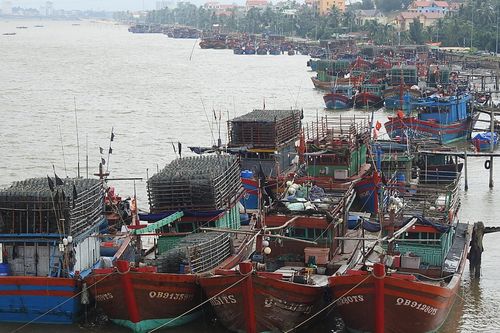 1 người tử vong, 7 người nguy kịch vì nghi ăn ốc độc