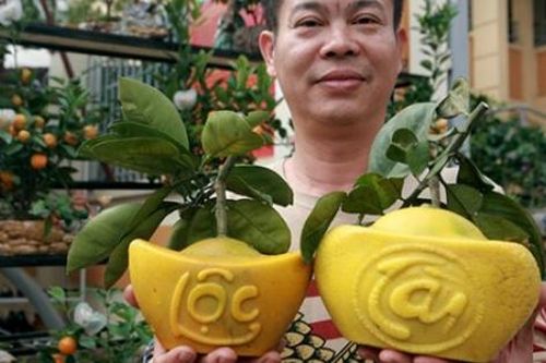 Bưởi Diễn hình thỏi vàng in chữ Tài - Lộc giá 1,5 triệu/cặp chơi Tết