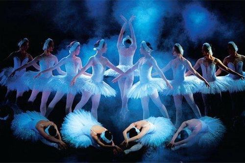 Biên đạo múa Trần Ly Ly đưa vở Hồ Thiên nga ra sân khấu ngoài trời