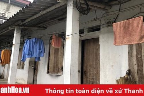 Xóm chạy thận mơ tết đoàn viên