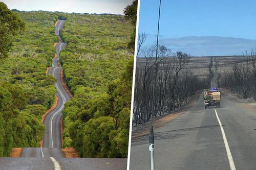 Những hình ảnh lột tả sức tàn phá khủng khiếp của thảm họa cháy rừng ở Australia