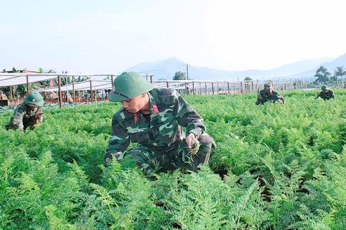 Quân đoàn 3: Đảm bảo điều kiện cho bộ đội đón Tết