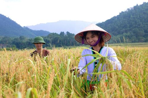 Sinh ra từ làng