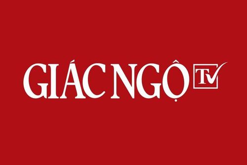 Phật giáo TP.HCM : Thành tựu và hướng hoạt động năm mới