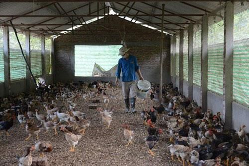Tăng cường liên kết, chia sẻ lợi ích